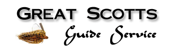 Great Scotts Guide Service